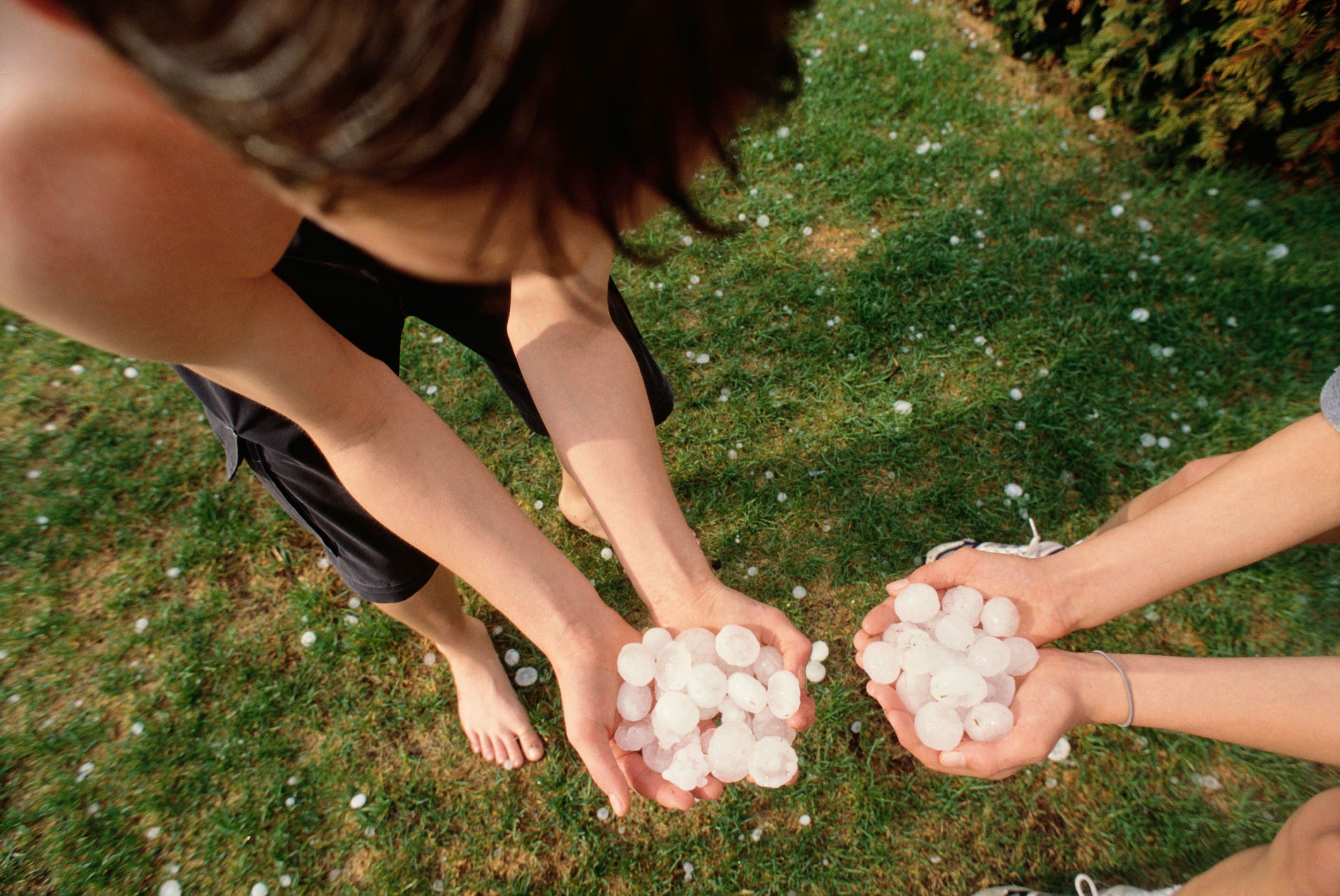 Two people holding big balls of hail in their palms while standing in green grass