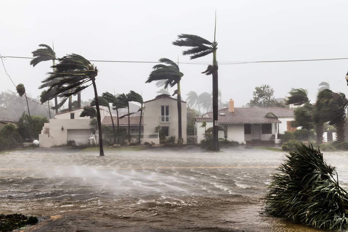 Hurricane winds blow through a residential neighborhood