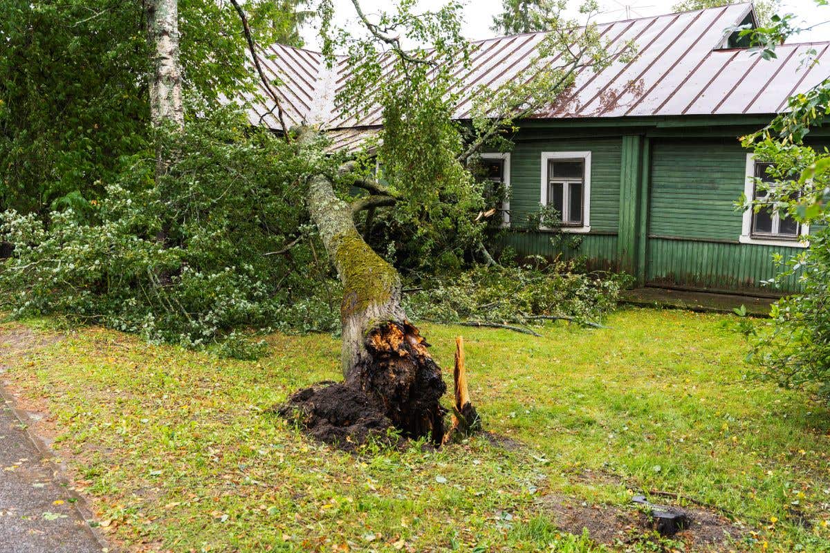 A tree broken by the wind lies next to a private home