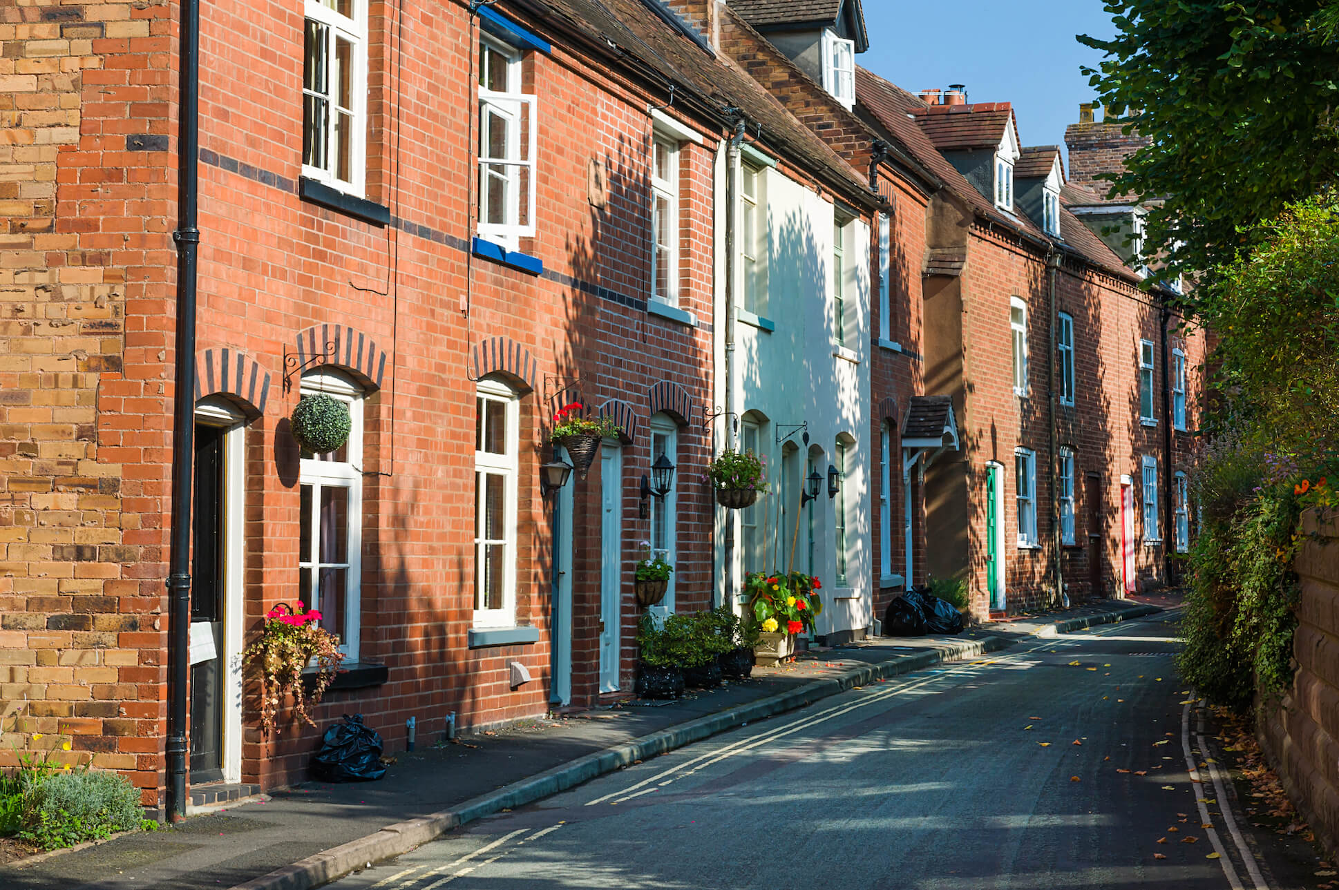 Row houses for rent