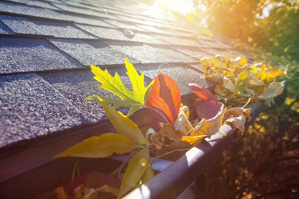 fall leaves in a gutter under a shingled roof with sunlight in the background