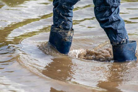 Close-up of a person's legs wearing blue jeans and boots as they wade through floodwater