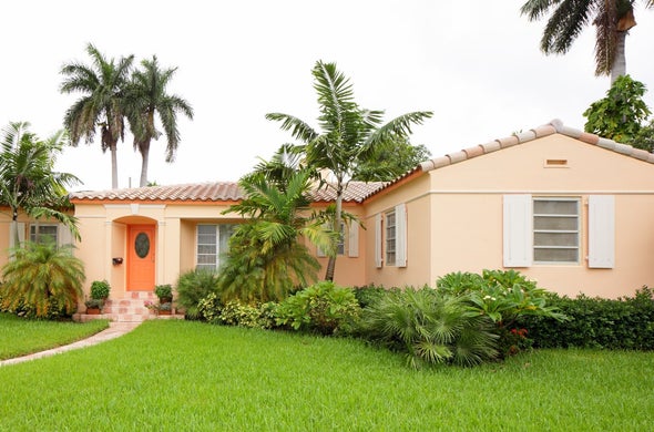 a ranch-style home with palm trees