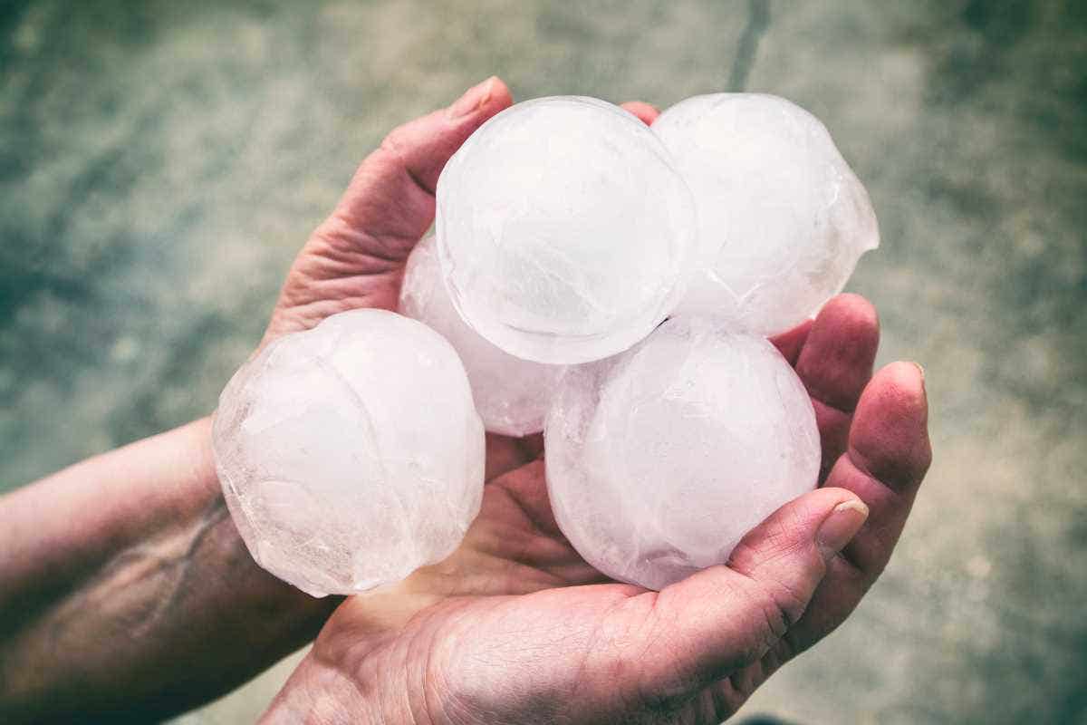 Hands holding a group of very large hailstones