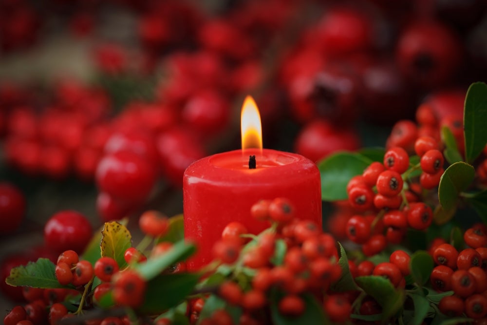 Close-up of a red holiday candle surrounded by holly and ivy