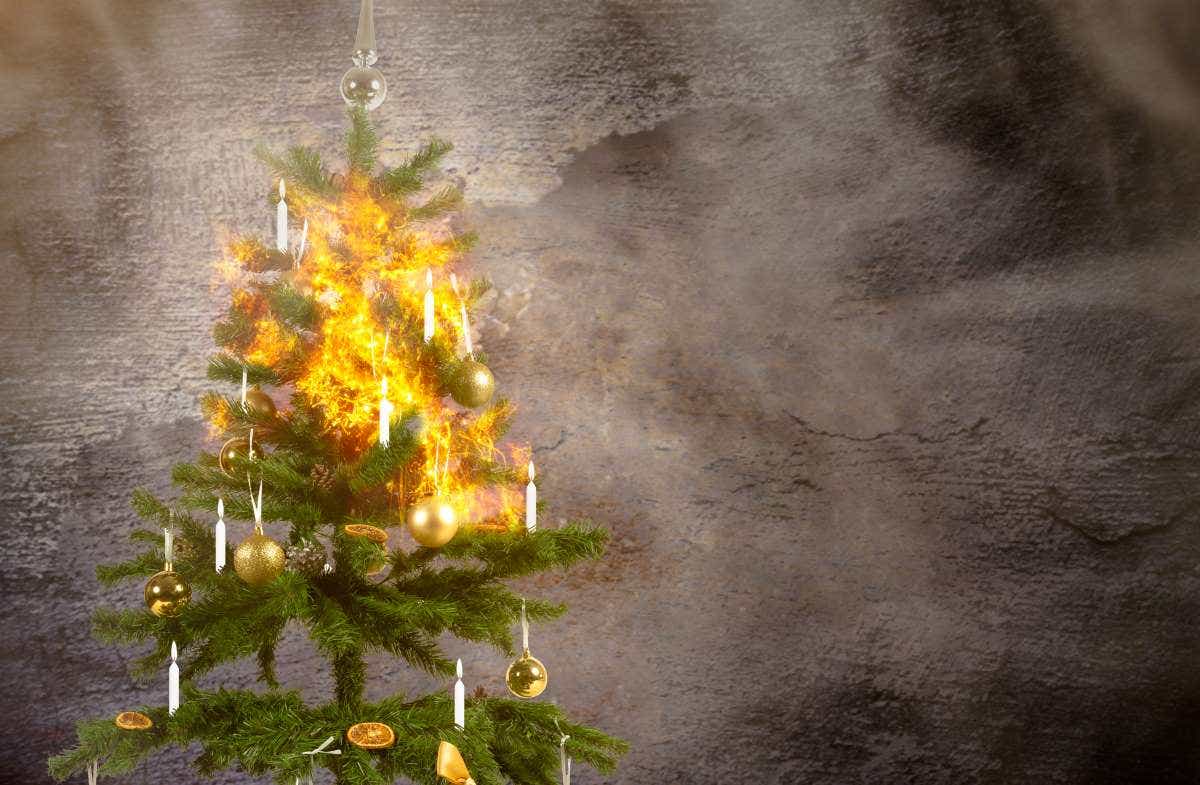 A christmas tree burning because of the candles