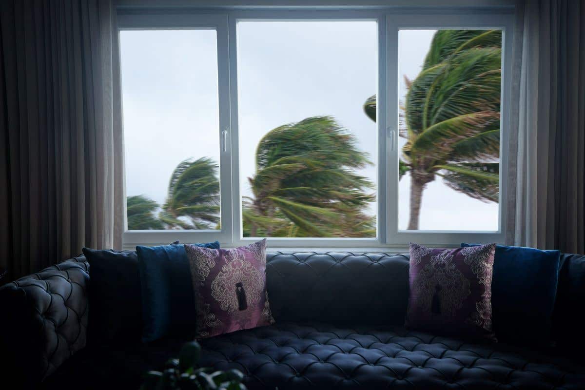 A view  from inside a home of palm trees blowing in hurricane winds outside