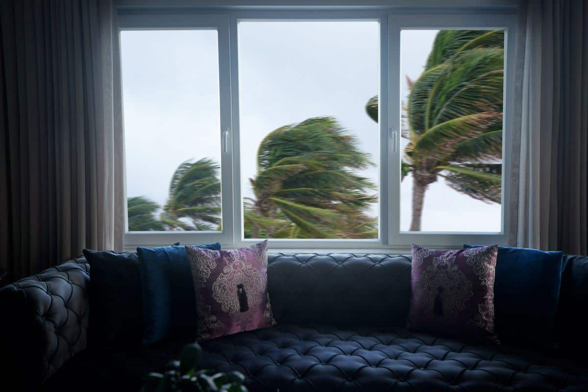 View from inside looking out at waving palm trees in windy tropical storm