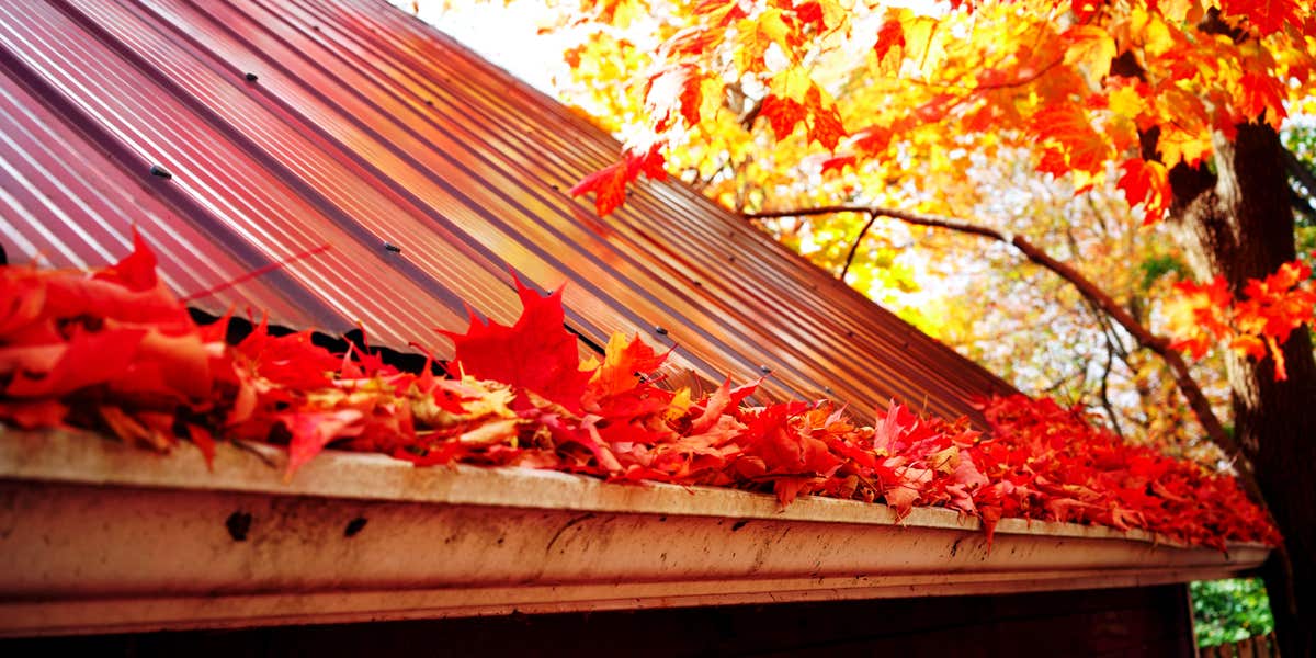 A gutter filled with fall leaves