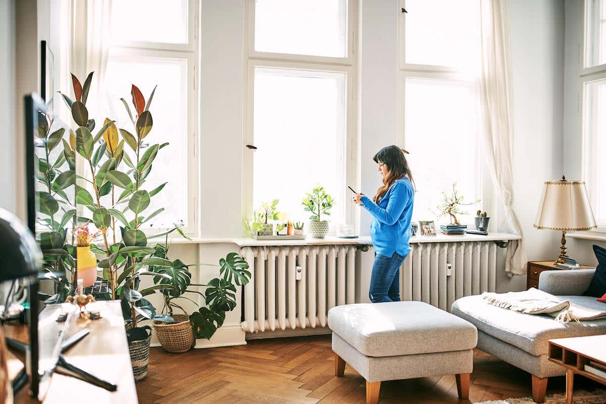 woman in a blue shirt in a living room with lots of natural light and plants
