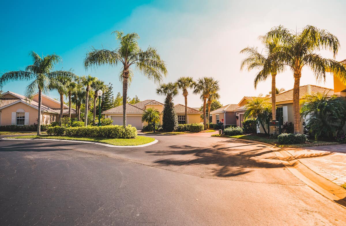 A cul de sac of homes with tall palm trees