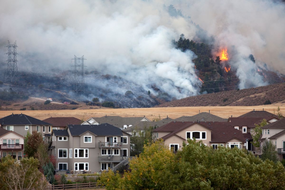 Wildfire preparation
