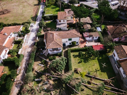 aerial imagery of a neighborhood after a heavy wind storm with fallen trees