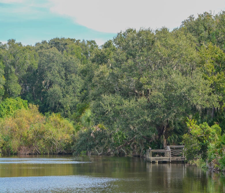 Nassau County, Florida flood insurance quote Kin Insurance