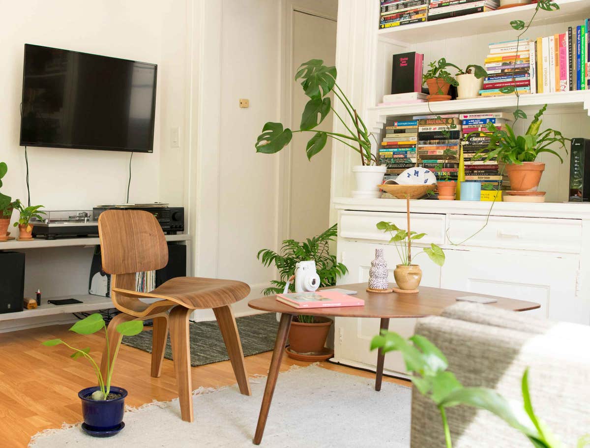 A living room with a coffe table, chair, plants, and a bookshelf