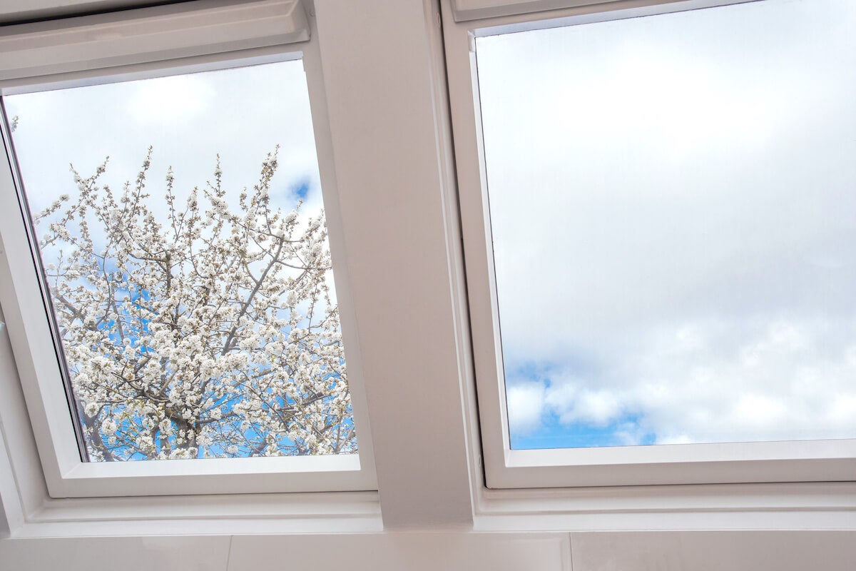 A white framed skylight looking out towards blue skies and a flowering tree