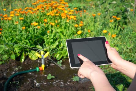 Woman's hands holding a tablet computer with a garden sprinkler background