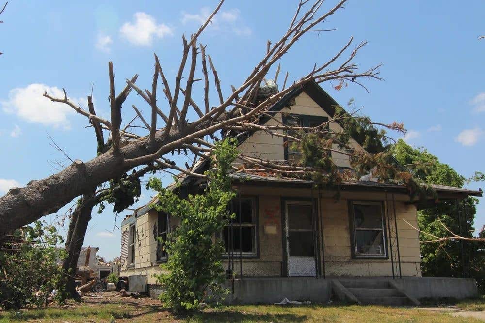 A home with a fallen tree on it