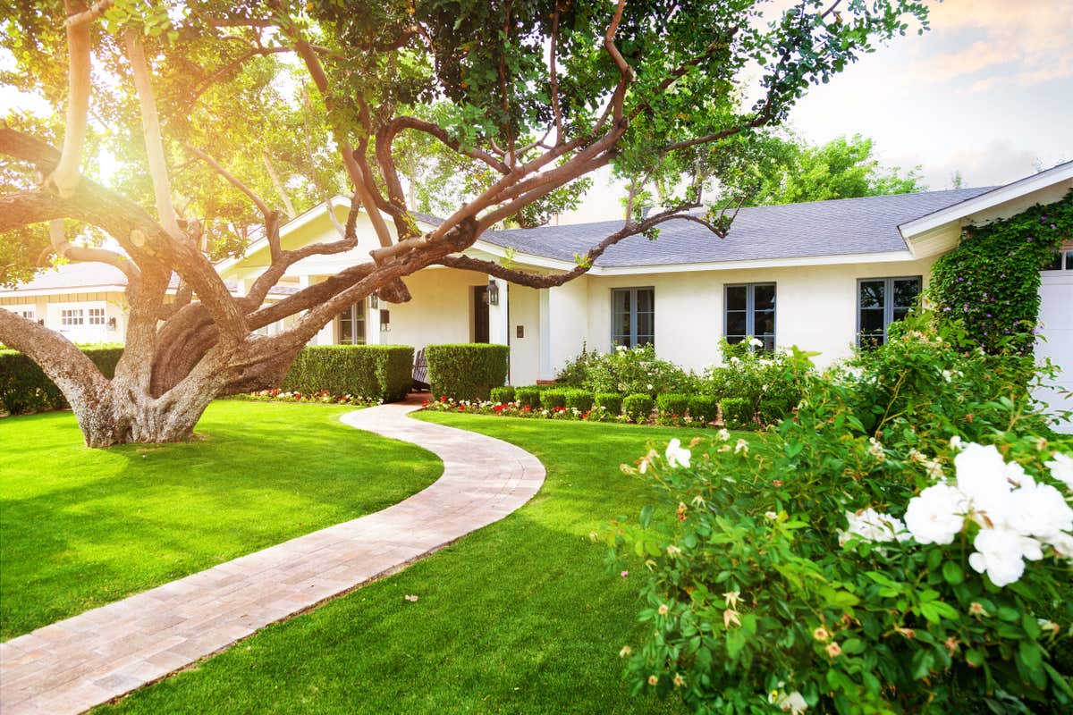 A white, ranch-style home with a large lawn and tree