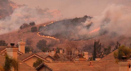 A wildfire on a hill near a residential neighborhood