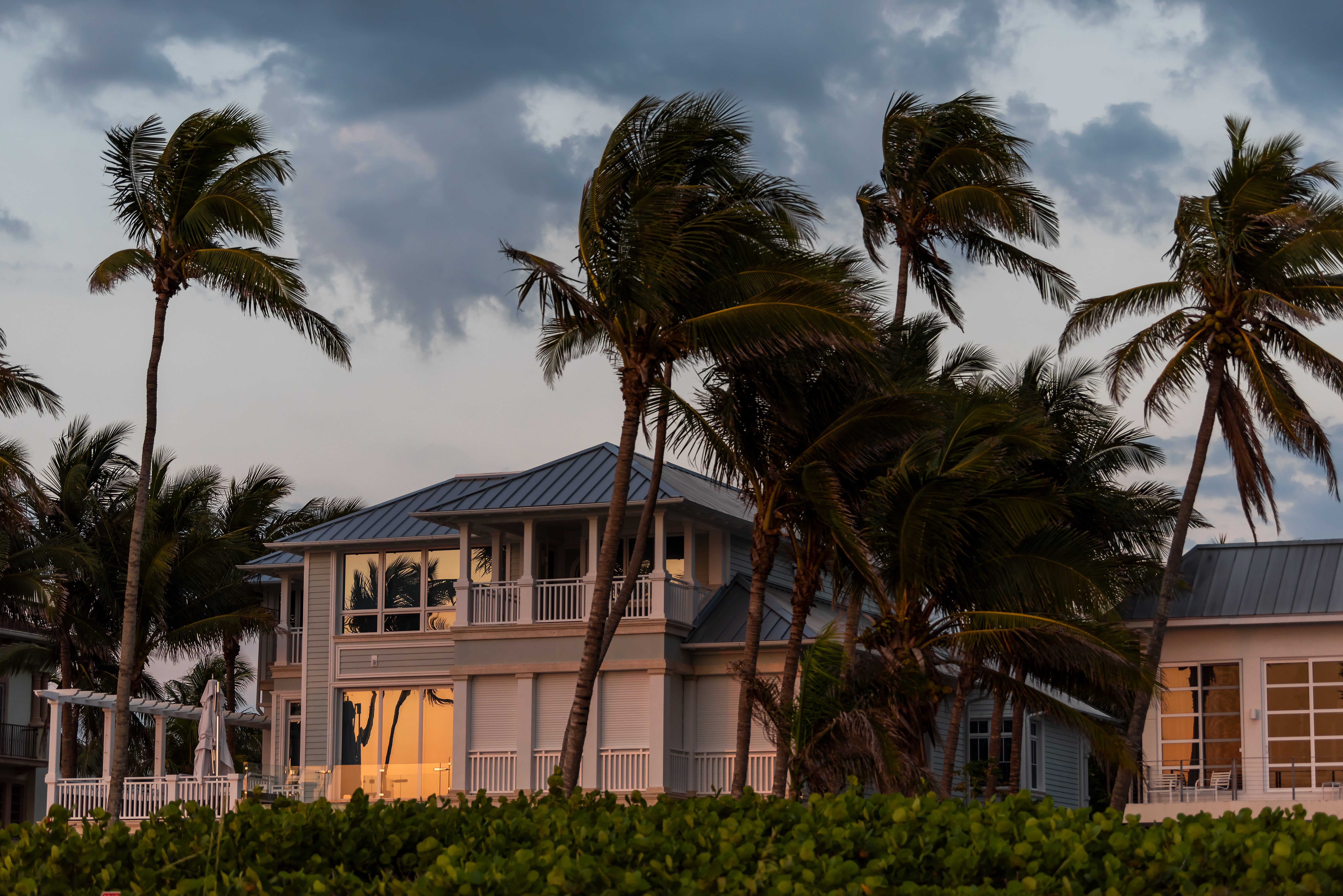 A house under stormy skies surrounded by palm trees bending in the wind
